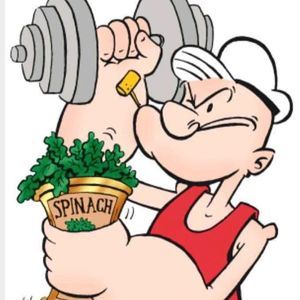 Meet your Posher, David